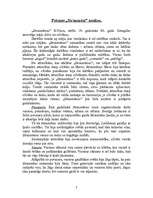 Referāts 'E.Virza "Straumēni"', 7.