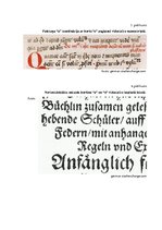 Referāts 'Ligatūru zelta laiks un noriets', 13.