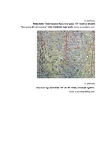 Referāts 'Ligatūru zelta laiks un noriets', 16.