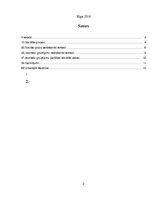 Referāts 'Jauniešu grupējumu veidošanās psiholoģiskie cēloņi, to darbības sociālās sekas', 2.