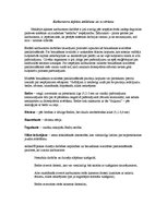 Konspekts 'Karburatora defektu atklāšana un novēršana', 1.