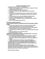 Konspekts 'Karburatora defektu atklāšana un novēršana', 4.