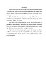 Referāts 'Prātnieka tēla raksturojums romānā "Mērnieku laiki"', 12.