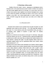 Referāts 'Pirkuma izvēli ietekmējošie faktori', 5.