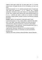 Prakses atskaite 'Prakse komerczinībās', 5.