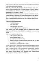 Prakses atskaite 'Prakse komerczinībās', 8.