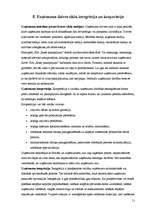 Prakses atskaite 'Prakse komerczinībās', 11.