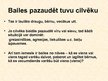 Prezentācija 'Bailes', 7.