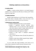 Referāts 'Zīmogi un spiedogi, to izmantošana', 6.