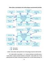 Diplomdarbs 'Vispārizglītojošo skolu starpinstitucionālās sadarbības modelis Olaines pilsētā', 42.