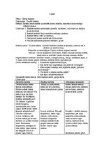 Konspekts 'Integrēto stundu konspekti 2.klasei', 5.