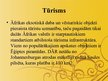 Prezentācija 'Āfrika', 10.