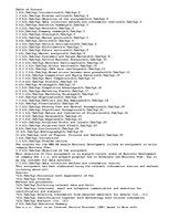 Eseja 'Business Development - Business Plan of ISP Company', 1.