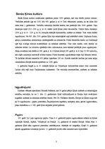 Referāts 'Tehnika Senajā Ķīnā', 3.