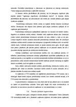 Referāts 'Grāmatvedības uzskaites atšķirības SIA un IU', 15.