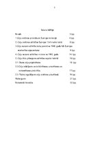 Referāts 'Ceļu vēsture un attīstība', 2.