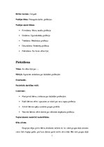 Konspekts 'Dienas plāns vienai dienai', 1.