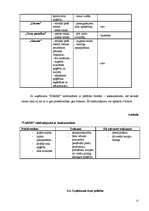 Biznesa plāns 'SIA "Šarms"', 13.