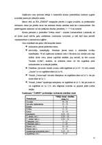 Biznesa plāns 'SIA "Šarms"', 14.