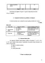 Biznesa plāns 'SIA "Šarms"', 18.