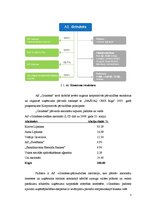 Referāts 'A/s "Grindex" akcijas', 7.