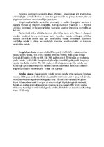 Konspekts 'Valodas koki', 2.