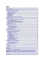 Biznesa plāns 'SIA "Print" biznesa plāns', 1.