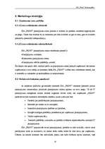 Biznesa plāns 'SIA "Print" biznesa plāns', 19.