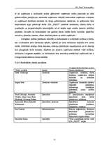 Biznesa plāns 'SIA "Print" biznesa plāns', 25.