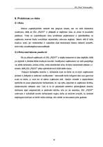 Biznesa plāns 'SIA "Print" biznesa plāns', 26.