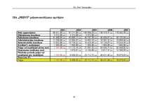 Biznesa plāns 'SIA "Print" biznesa plāns', 29.