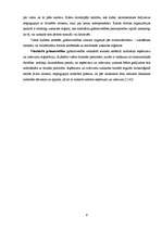 Referāts 'Grāmatvedības raksturojums', 9.