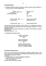 Konspekts 'Starptautiskās privāttiesības', 19.