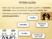 Prezentācija 'Lietišķās sarunas', 13.