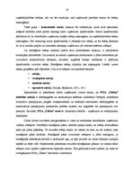 Diplomdarbs 'Ūdens un kanalizācijas apsaimniekošanas uzņēmuma perspektīvas Ventspils pilsētas', 19.