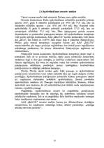 Referāts 'AAS "Balta" mārketinga darbības analīze', 13.