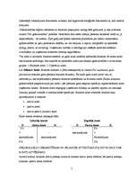 Referāts 'Divkāršā ieraksta princips grāmatvedībā', 5.