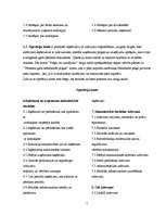 Referāts 'Divkāršā ieraksta princips grāmatvedībā', 7.