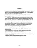 Referāts 'Divkāršā ieraksta princips grāmatvedībā', 9.