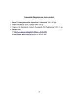 Referāts 'Divkāršā ieraksta princips grāmatvedībā', 10.