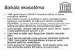 Prezentācija 'Baikāla ezers', 4.