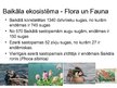 Prezentācija 'Baikāla ezers', 6.