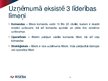 Prezentācija 'Līderības nozīme organizācijas attīstībā', 11.