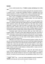 Diplomdarbs 'Vienlīdzības principa nodrošinājums darba tiesību jomā', 4.