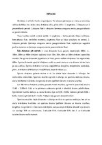 Referāts 'Sprinta raksturojums', 3.