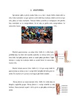 Referāts 'Sprinta raksturojums', 9.