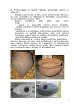 Referāts 'Latviešu tautas mākslas nemateriālās kultūras vērtības. Profesionālās un tautas ', 5.