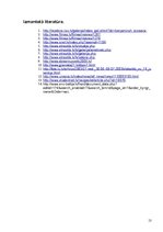 Referāts 'Latviešu tautas mākslas nemateriālās kultūras vērtības. Profesionālās un tautas ', 13.