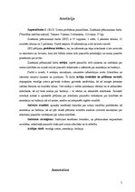 Referāts 'Uztura problēmas pusaudžiem', 2.