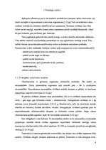 Referāts 'Uztura problēmas pusaudžiem', 6.